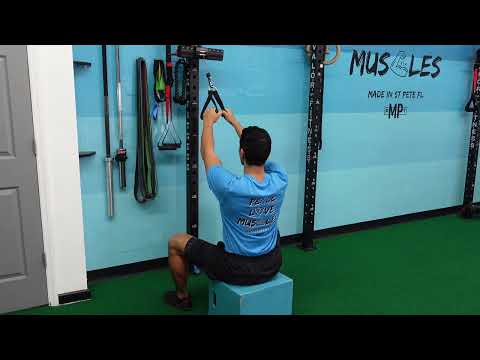 Seated Cable Double Arm Lat Pull Downs
