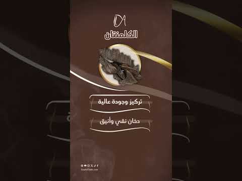 عود الكلمنتان حين يجتمع النقاء بالفخامة