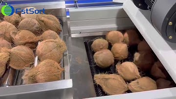 Commercial Coconut Processing Machinery,Coconut Electronic Weight Sorting and Packaging Line