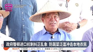 政府整顿进口机制纠正乱象 防蔬菜泛滥冲击本地农民【2026.04.10 八度空间华语新闻】