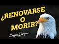 Video Motivacional para Emprendedores Corto 💪 Renovarse o Morir 💪 Reflexion del Dia