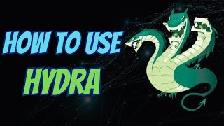 How To Use Hydra