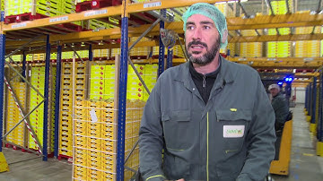 Responsable secteur Expédition | Savéol