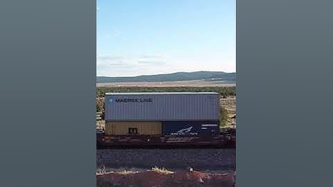 Route 66   Seligman, Arizona