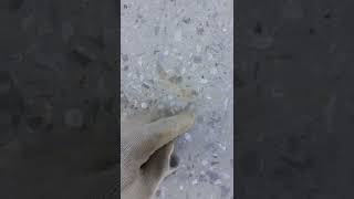 Шлифовка бетонной плиты своими руками. Алмазные чашки Daimond dich 230 и 125 мм
