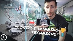 How to build a CONTEST WINNING hardscape?