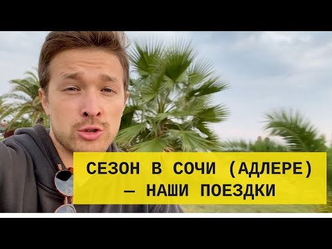 Когда лучше ехать в Сочи? Сезон и погода по месяцам