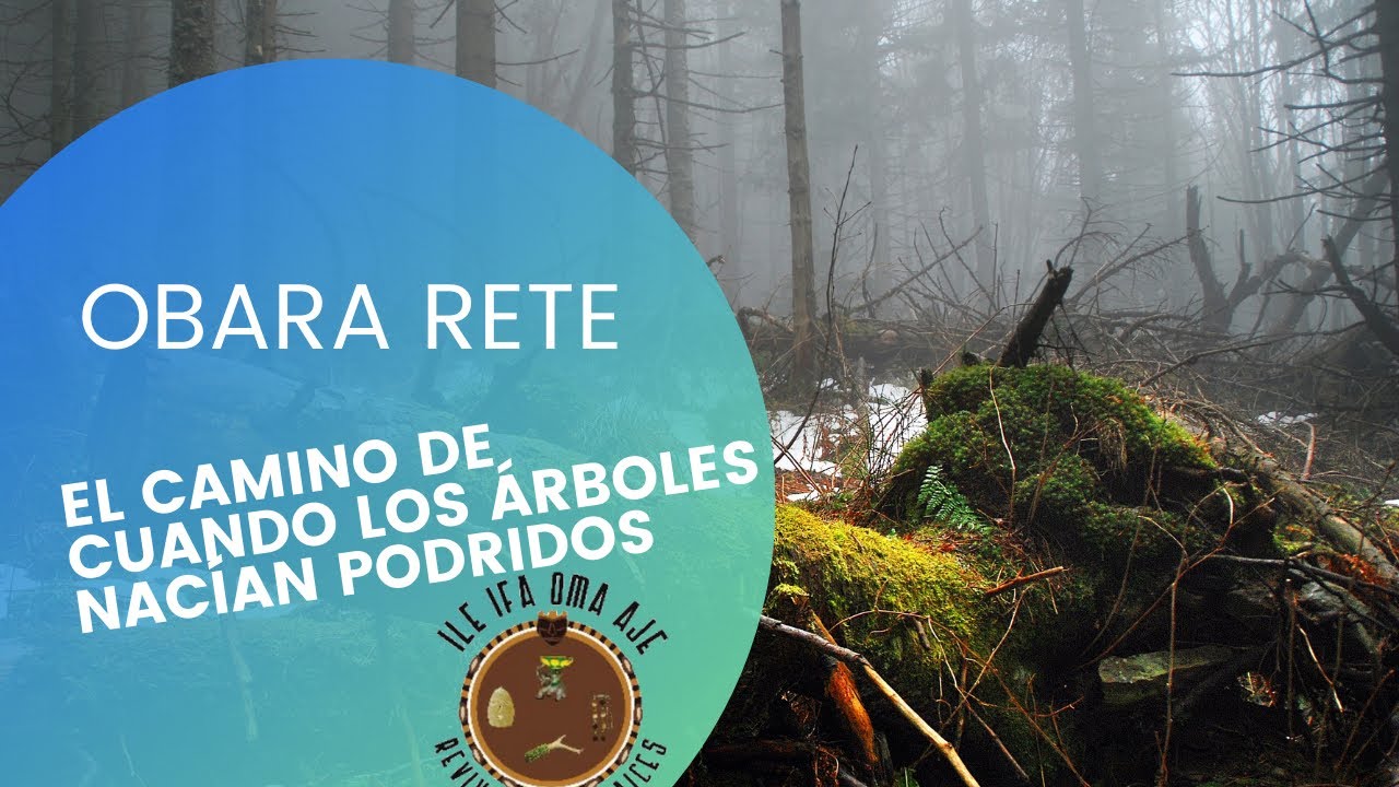 Cuando los árboles nacían podridos (Obara rete nifa)