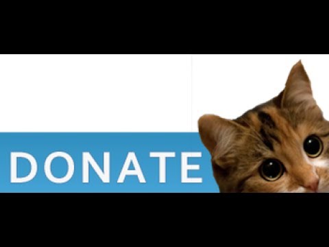 Изображение donate для твича