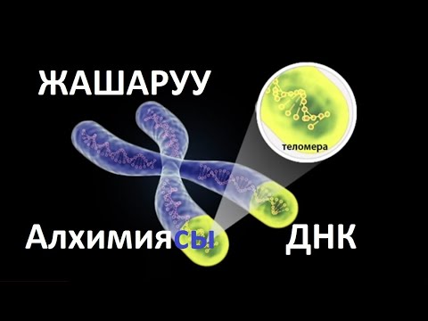 Video: Жаштыкка жана сулуулукка кандай азыктар кооптуу