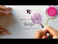 How to Paint Tulips in Watercolour - Hello Clarice Tutorials
