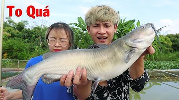 Hậu Cáo - Cùng Vợ Sắp Cưới Câu Cá Chình Bạo Chúa Dưới Đáy Ao