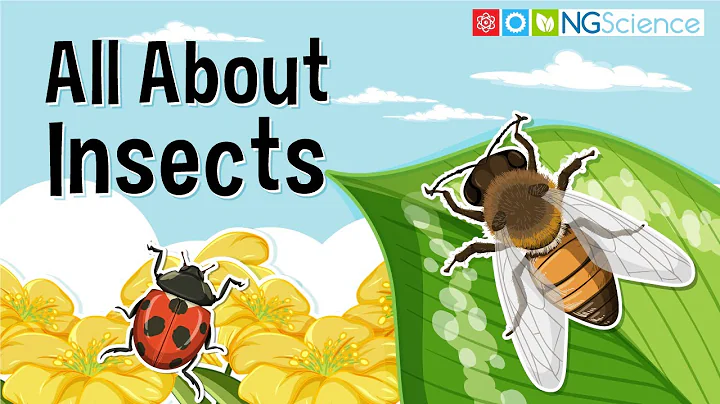 All You Need to Know About Insects - DayDayNews