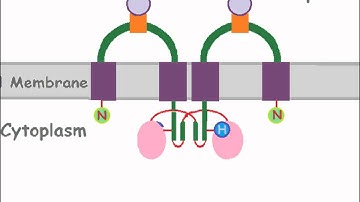 Two-Component Signaling