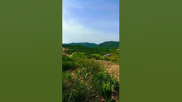 subhanallah, alam yang indah #shorts #video #subscribe #subhanallah #alam #sejuk #viral #short