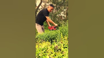 smart tool for easy trimming of plants #shorts