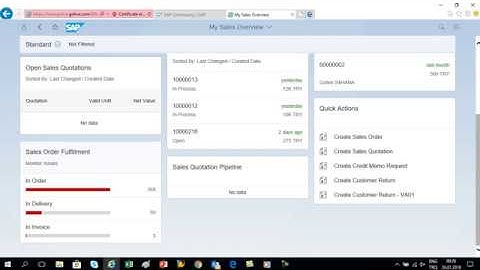 S4HANA 1709 Fiori 2.0 GoLive My Sales Overview