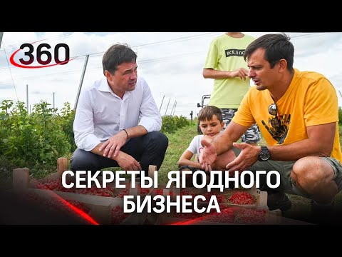 От ресторатора до фермера: предприниматель раскрыл секреты ягодного бизнеса