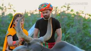 Govaliyo Kanudo Morli Valo | KIRTIDAN GADHAVI | JIGNESH KAVIRAJ | kanaiya Morlivala | #KANUDO