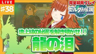 【#ゼルダの伝説TotK】#38 地上絵の秘密を解き明かせ🕵龍の泪🐉💧【御主むむ】