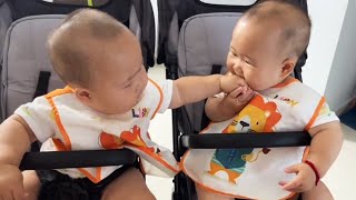 Cute Twin Brothers Moment:The Younger Brother Kindly Fed His Older Brother Food But Was Robbed!