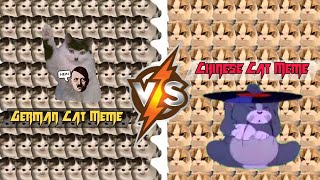 Chinese Cat Vs German Cat | Which Side Are You On?