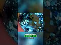 Paraiba Tourmaline: The Gem That Stuns Visually #shorts