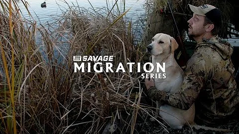 Migration Series: The Gun Dogs | Hunter & Chip