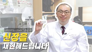 I Dear CMC #4. 신장을 재현해드립니다ㅣ김용균 교수