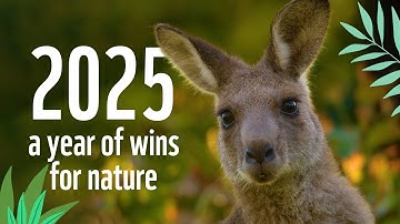 2025: A Year of Wins for Nature 💚