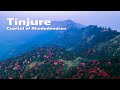 Blossom rhododendron  drone view  tinjure  travel 