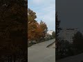 Осіння стежка кличе у подорож осінньою природою. Чарівник розфарбував фарбами осінь.