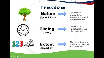 The audit plan