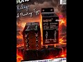 LEONE Relays, Panel Mounting Type, 12A - Contact 9320665054