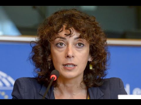 ევროკავშირში საქართველოს ელჩმა თანამდებობა დატოვა