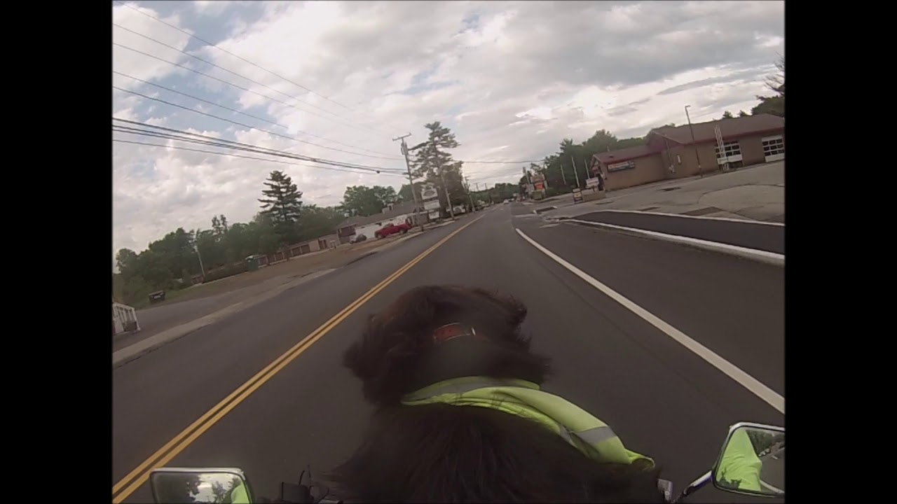 Jr & I Jun 6th 2020  Cut off by black truck