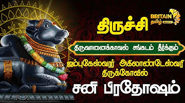 LIVE - திருவானைக் கோவில் அருள்மிகு ஜம்புகேஸ்வரர் அகிலாண்டேஸ்வரி திருக்கோயில் சனி மஹா பிரதோஷம்