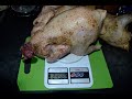 Мясная продуктивность кур породы Черный Австралорп. Вес тушек и метод обработки жесткого мяса.