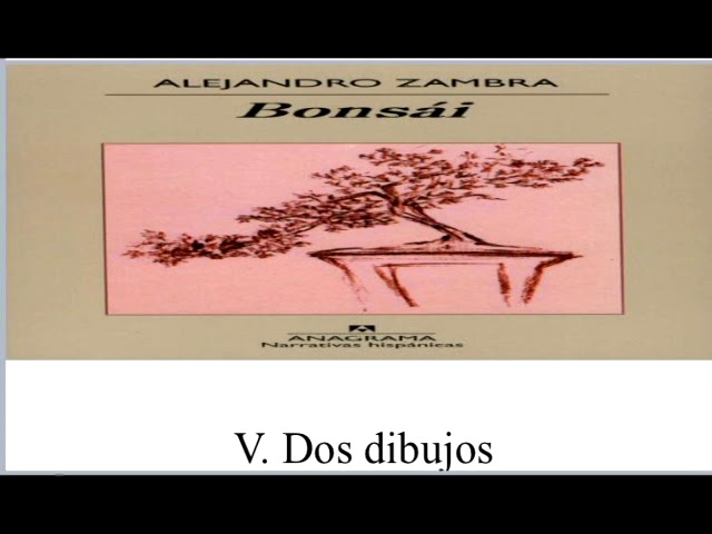 Bonsi de Alejandro Zambra- V. Dos dibujos