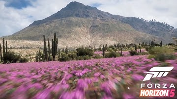 Forza Horizon 5 Stuck on Loading Screen Fix (loading forever)