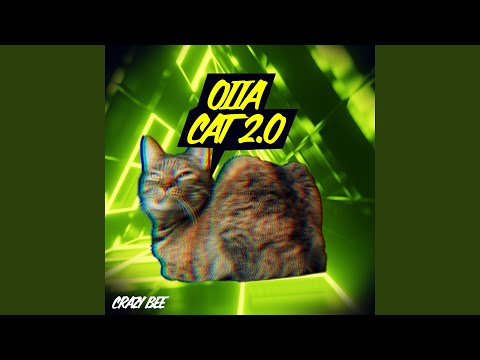 Oiia Cat 2.0