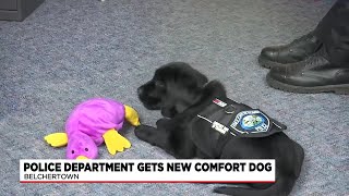 Belchertown Police introduces Oliver, their new comfort dog