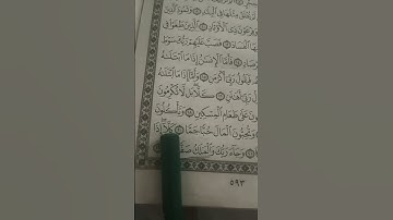 سوره الفجر 🤲🏻 قران كريم راحة نفسية