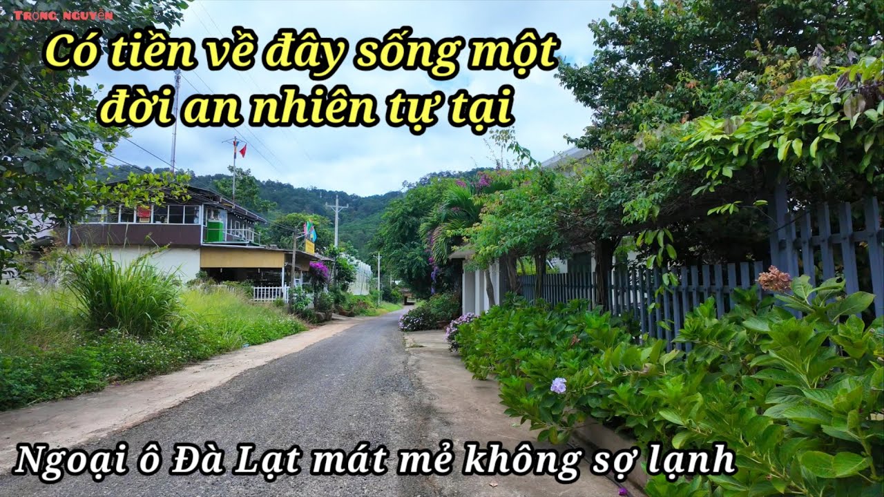 Có tiền về đây ngoại ô Đà Lạt sống cuộc đời an nhiên tự tại