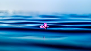 عبق الصمت: موسيقى للتأمل العميق أثناء النوم مع ترددات الوفرة و الحب screenshot 1