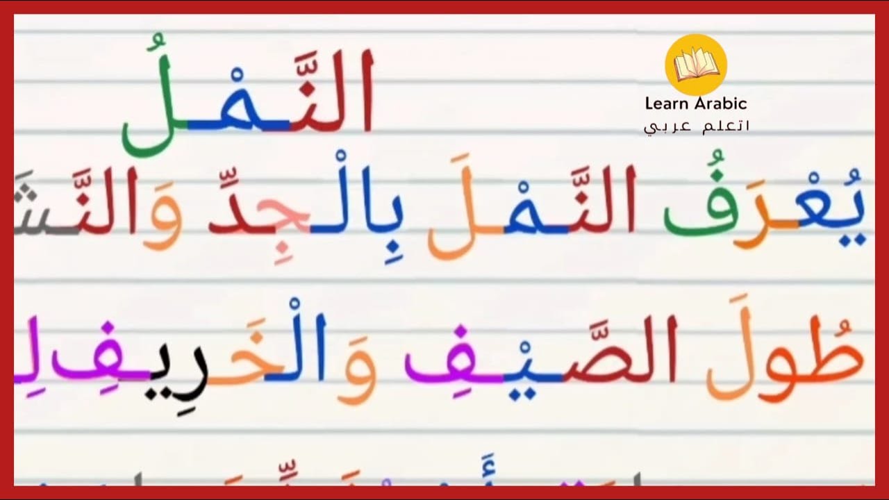 قراءة قطعة املائية|الفتحة والضمة والسكون|تعليم الاملاء|الشدة واللام ...
