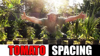 Tomato Spacing - Garden Quickie Episode 145