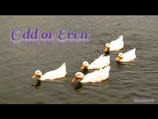 Παρακολούθηση Odd or Even στο YouTube Παρακολούθηση Odd or Even στο YouTube