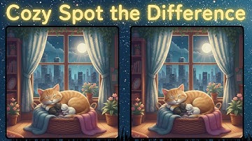 🏡Cozy Spot the Difference (3 Subtle Details Each) ｜ Vol. 17