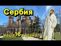 Белград: наша бизнес-поездка и знакомство со столицей Сербии